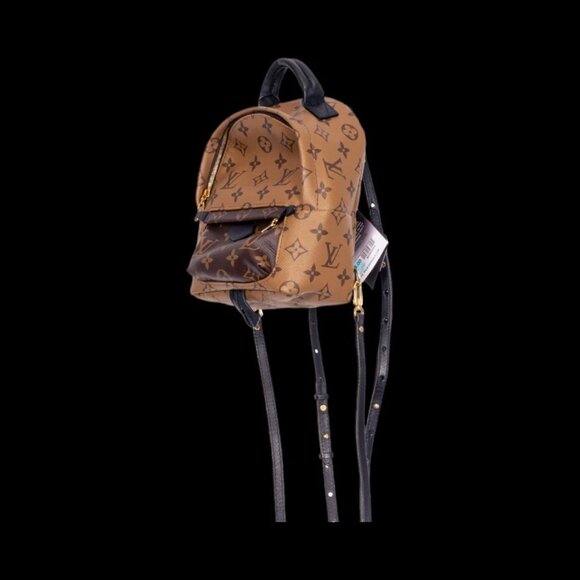 LOUIS VUITTON PALM SPRINGS BACKPACK MINI - Picture 3 of 7